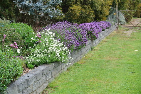 Hamlet Downs Country Accommodation - Accommodation Guide 14