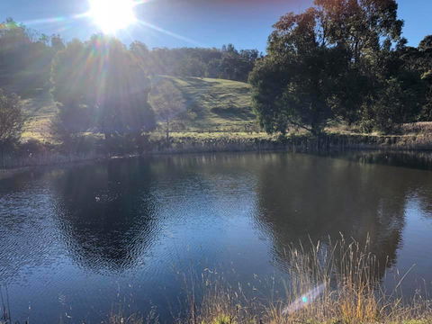 Hamlet Downs Country Accommodation - Accommodation Guide 8