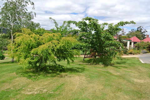 Hamlet Downs Country Accommodation - Accommodation Guide 21