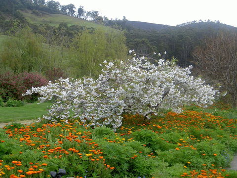 Hamlet Downs Country Accommodation - Accommodation Guide 13