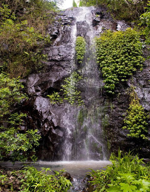 Nimbin Waterfall Retreat - Accommodation Asia 3
