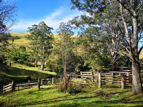 Nirvana Spiritual Retreat - Accommodation Guide 2