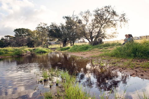 Northbrook Farmstay - Accommodation Asia 0
