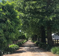Oak Lane Guest House  Farm Stay - Accommodation Asia