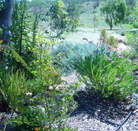 Old Miners' Cottages Bed and Breakfast - Accommodation Asia
