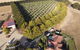 OMARU FARM STAY - thumb 1