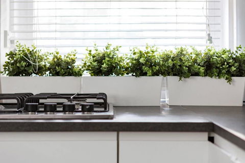 Paddington Apartment, Escape In Luxury - Accommodation China 3