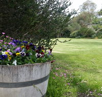 Padthaway Caravan Park - Accommodation Asia