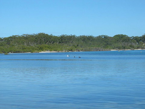 Pet Friendly - Exceptional Beachside Location - Accommodation Asia 3