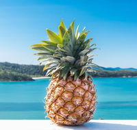Pineapple House Whitsundays - Accommodation Asia