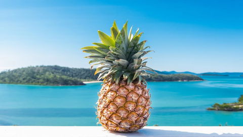 Pineapple House Whitsundays - Accommodation Asia 0
