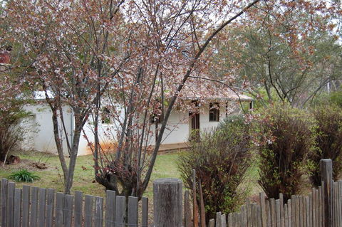 Pines Cottage - Accommodation Guide 3