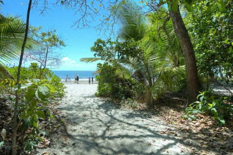 Plantation 2 - Absolute Beachfront - Accommodation Guide 1