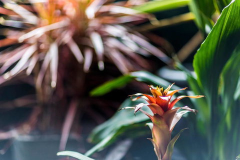 Poolside Sydney 1 Bedroom Apartment - Accommodation Asia 2