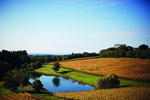 Port Phillip Estate - Accommodation Asia 2