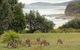 Pretty Beach Cabins - thumb 3