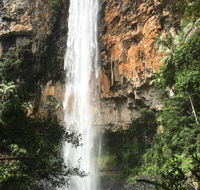 Purling Brook Falls Gwongorella - Accommodation Guide