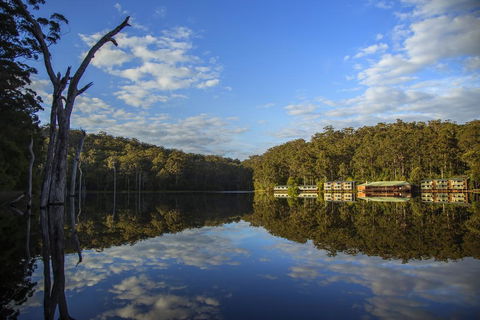 RAC Karri Valley Resort - Accommodation Asia 0