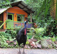 Rainforest Hideaway - Accommodation China