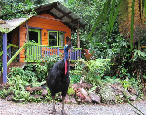 Rainforest Hideaway - Accommodation China 0