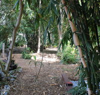 Rainforest Water Front River Shack Secluded. - Accommodation Asia