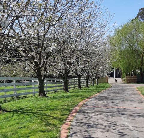 Ray's Farm - Accommodation Asia 1