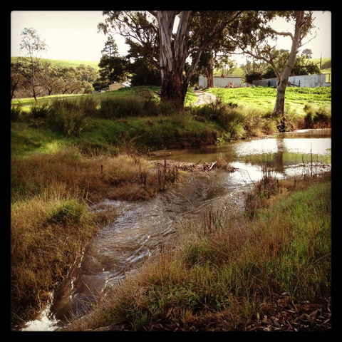 River Cottage Barossa -Self Contained-30 Acres-360 Degree Views-Netflix -Wine-Wifi - Accommodation Asia 3