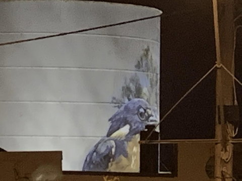 Rochester Wine Tavern - Accommodation Asia 1