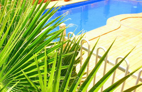 Roma Mid Town Motor Inn - Accommodation Guide 2