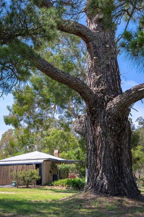 Rose Cottage - Accommodation Asia 3