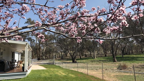 Rosewood Cottage - Accommodation Guide 2