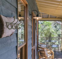 Scribbly Gum - Accommodation Asia
