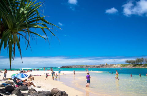 Sea Mist Palms - Accommodation Guide 0