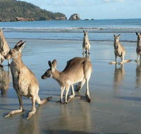 Seaforth Holiday Units - Accommodation Asia
