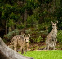 Secura Lifestyle Countryside Kalaru - Accommodation Asia