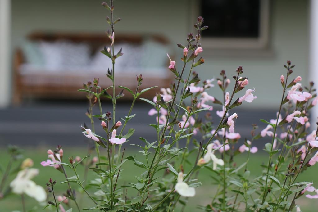 Allynbrook ACT Accommodation Guide