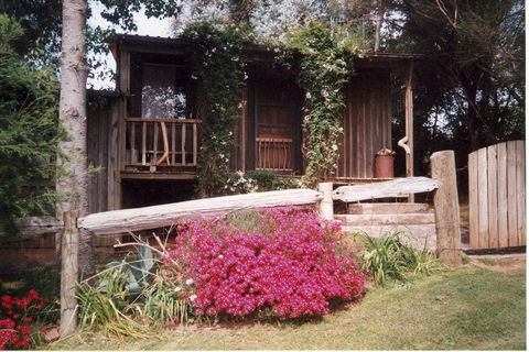 Snowy Mountain Holidays - Accommodation Asia 0