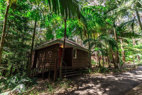 Songbirds Rainforest Retreat - Accommodation Asia 2