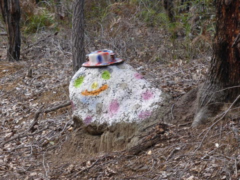 Splendid Wren Cottage - Accommodation Guide 3