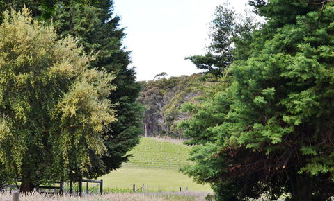Springhill Winery - Accommodation Asia 1