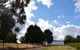 Springhill Winery - thumb 2