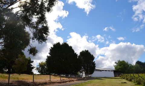 Springhill Winery - Accommodation Asia 2