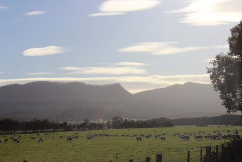 St Marys Hotel And Bistro - Accommodation Guide 3