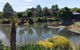 Still Waters - thumb 1