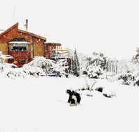 STUNNING HOME WITH AMAZING VIEWS - just 20 mins to the city and only 10 to MONA - Accommodation Asia