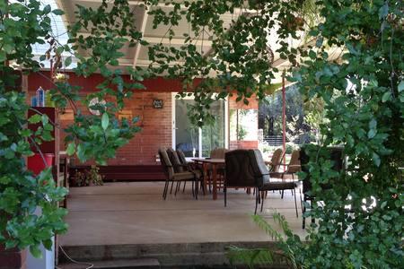 Sue's Sanctuary - Accommodation Guide 1