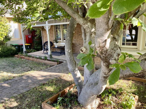 SUMMER HOUSE - CENTRAL LOCATION Near PARK - Accommodation Asia 0