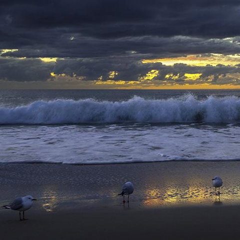 Surfers Horizons - Accommodation Guide 3