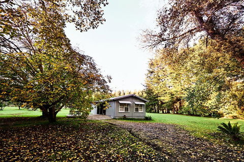 Tarkinegrove - Accommodation China 1
