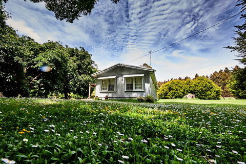 Tarkinegrove - Accommodation China 0